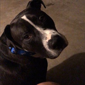 Meet your Posher, Karin